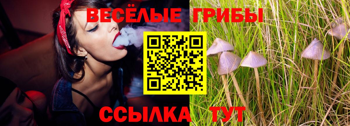 Галлюциногенные грибы мухоморы Томск