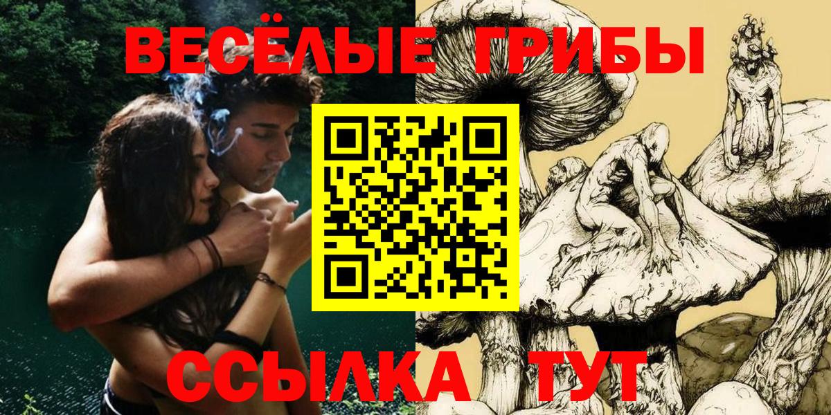Томск  Галлюциногенные грибы Cubensis  Псилоцибиновые грибы Psilocybine cubensis  Вход с VPN 